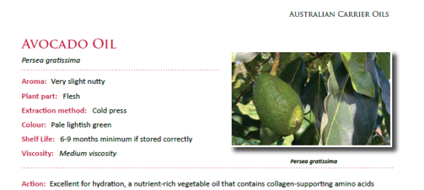 Australian Essential Oil Profiles - Practical and Clinical Guidelines - Image 5