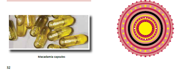 Australian Essential Oil Profiles - Practical and Clinical Guidelines - Image 6