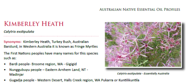 Australian Essential Oil Profiles - Practical and Clinical Guidelines - Image 11